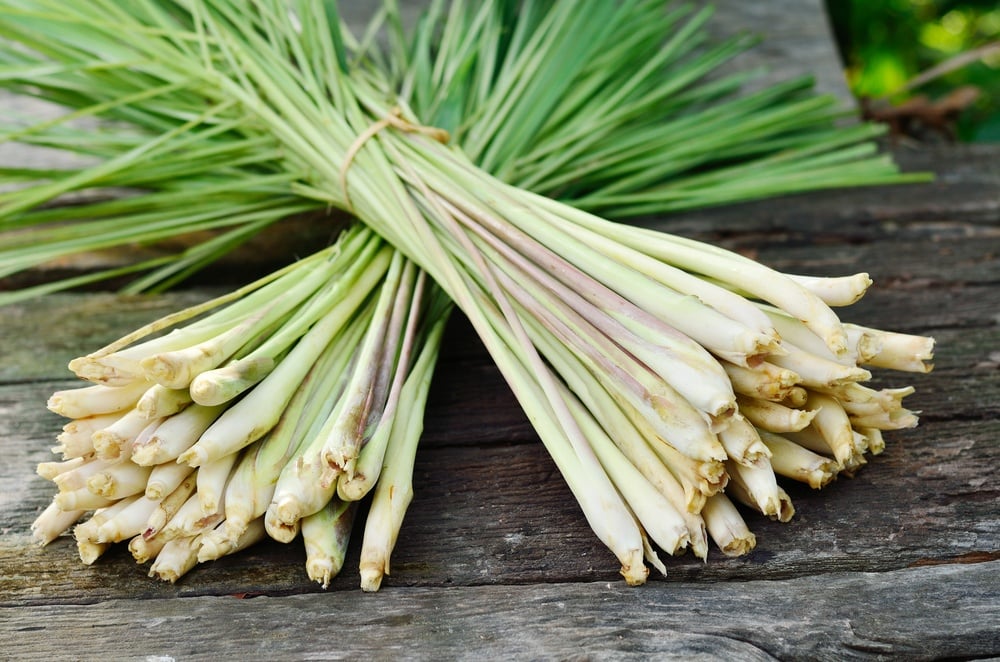 10 Unexpected Benefits of Lemongrass You Need To Know