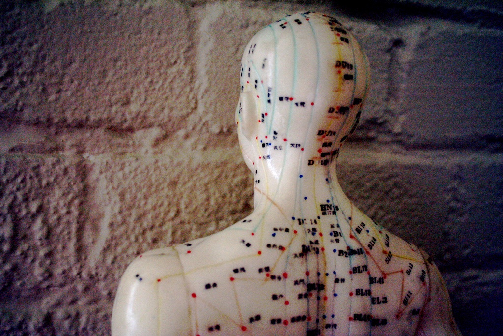acupuncture doll