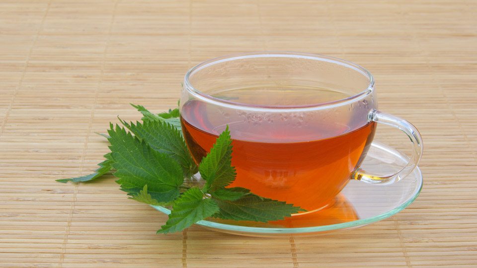 12 Surprising Benefits of Nettle Tea You Should Know