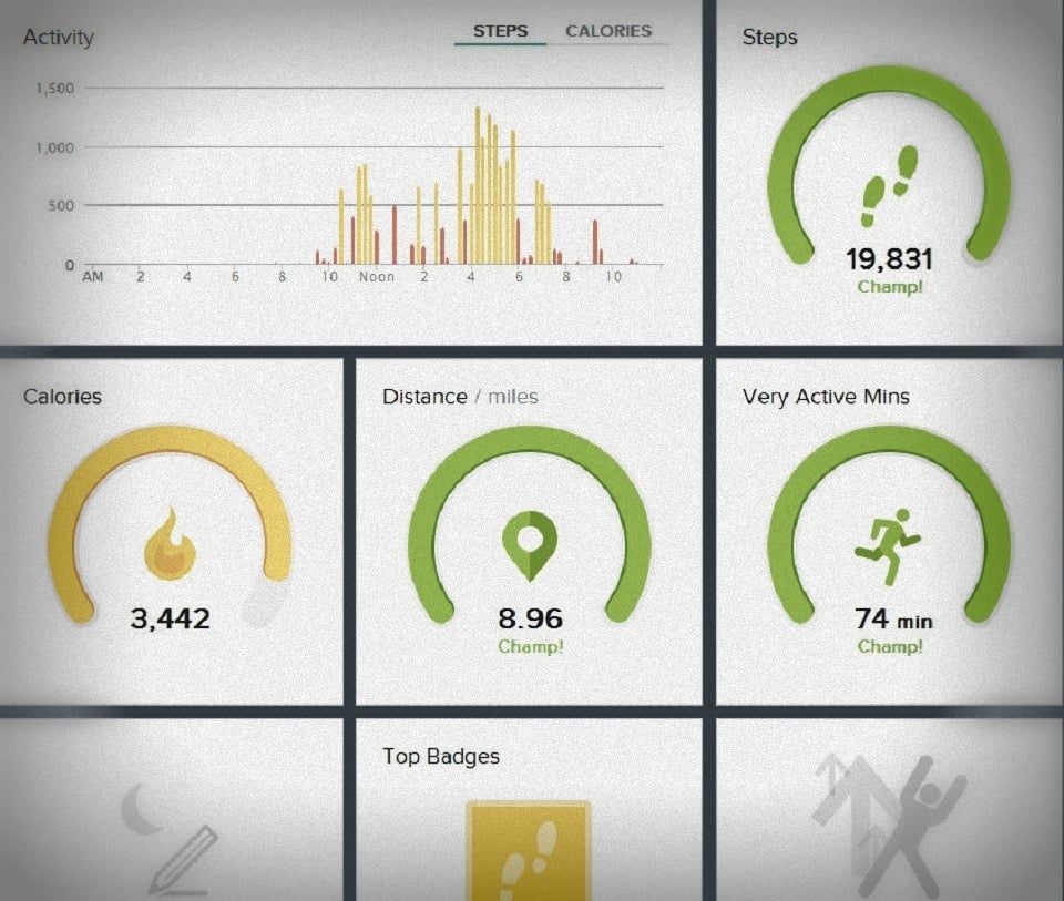 4 Types of Gadgets and Apps For Tracking Your Health