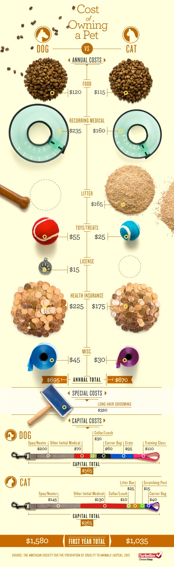 The Cost of Owning a Pet - Infographic