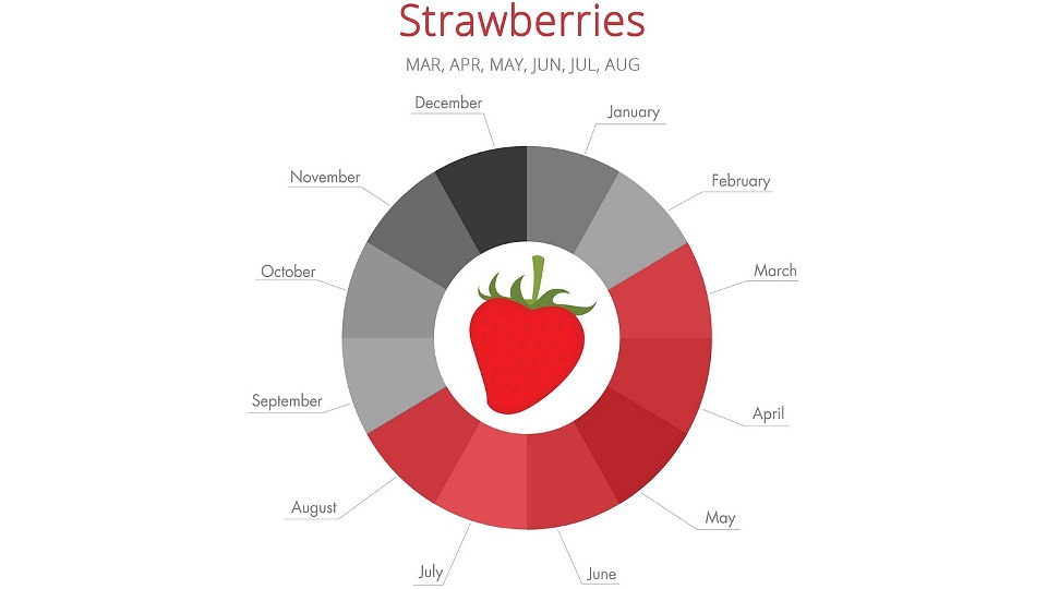 When are fruits in season - Featured Image