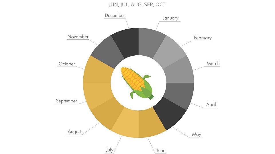 When are vegetables in season - Featured Image