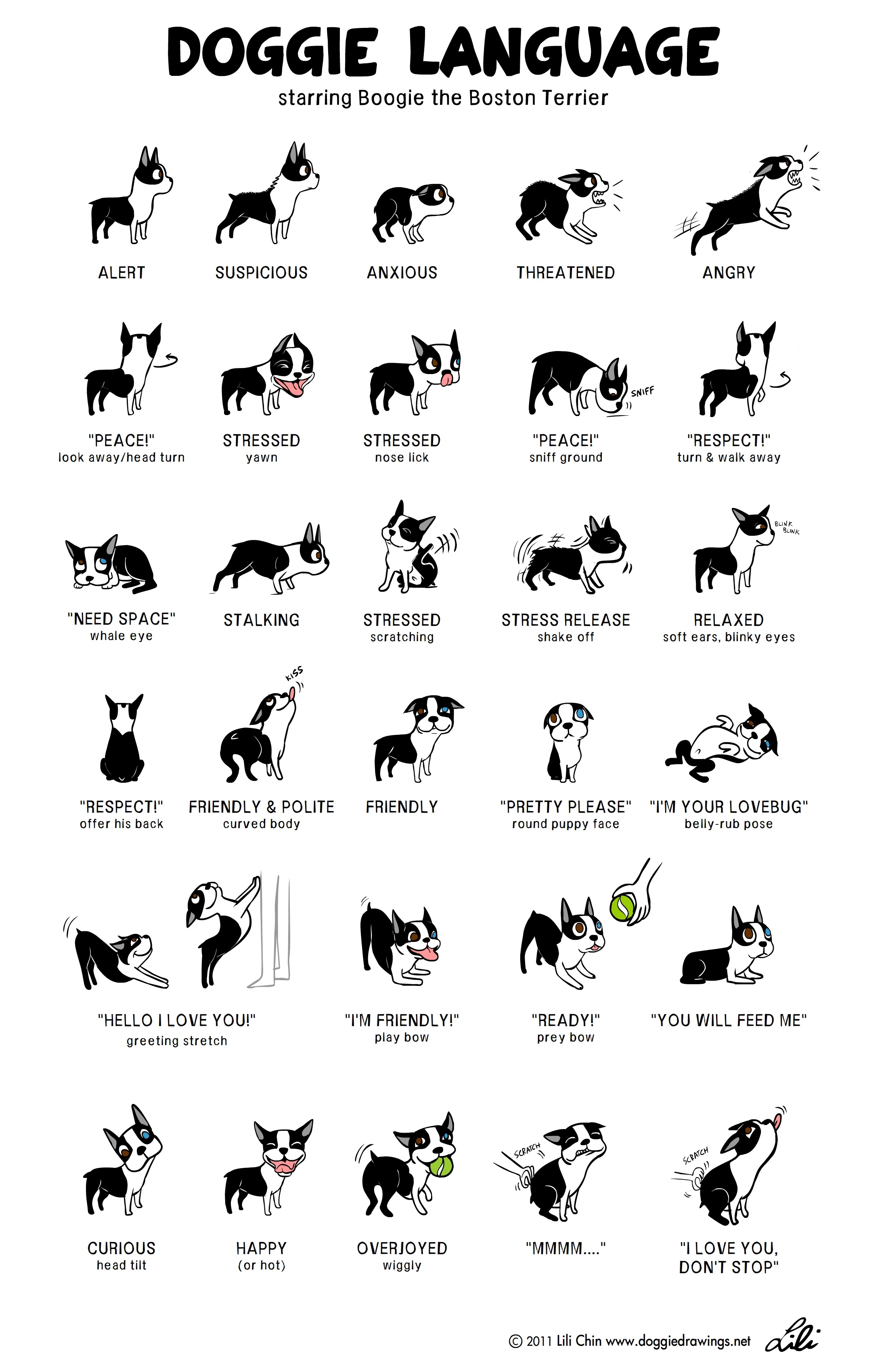 dog-language