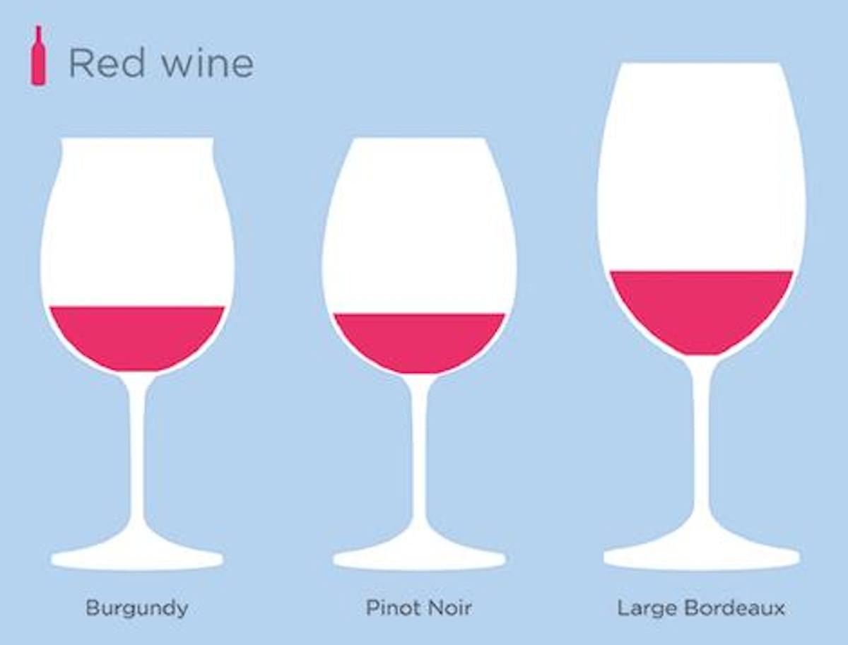 What Type Of Wine Glass Should You Be Using?