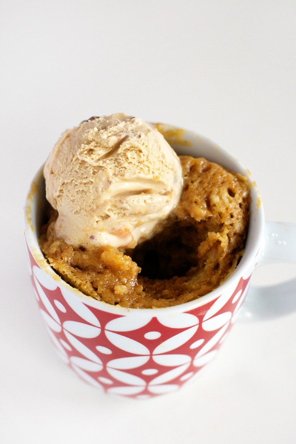 Sweet Treats In 5 Minutes! 20 Mug Cake Recipes That Get Us Drooling