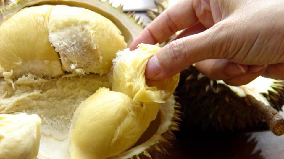 benefits of durian fruit