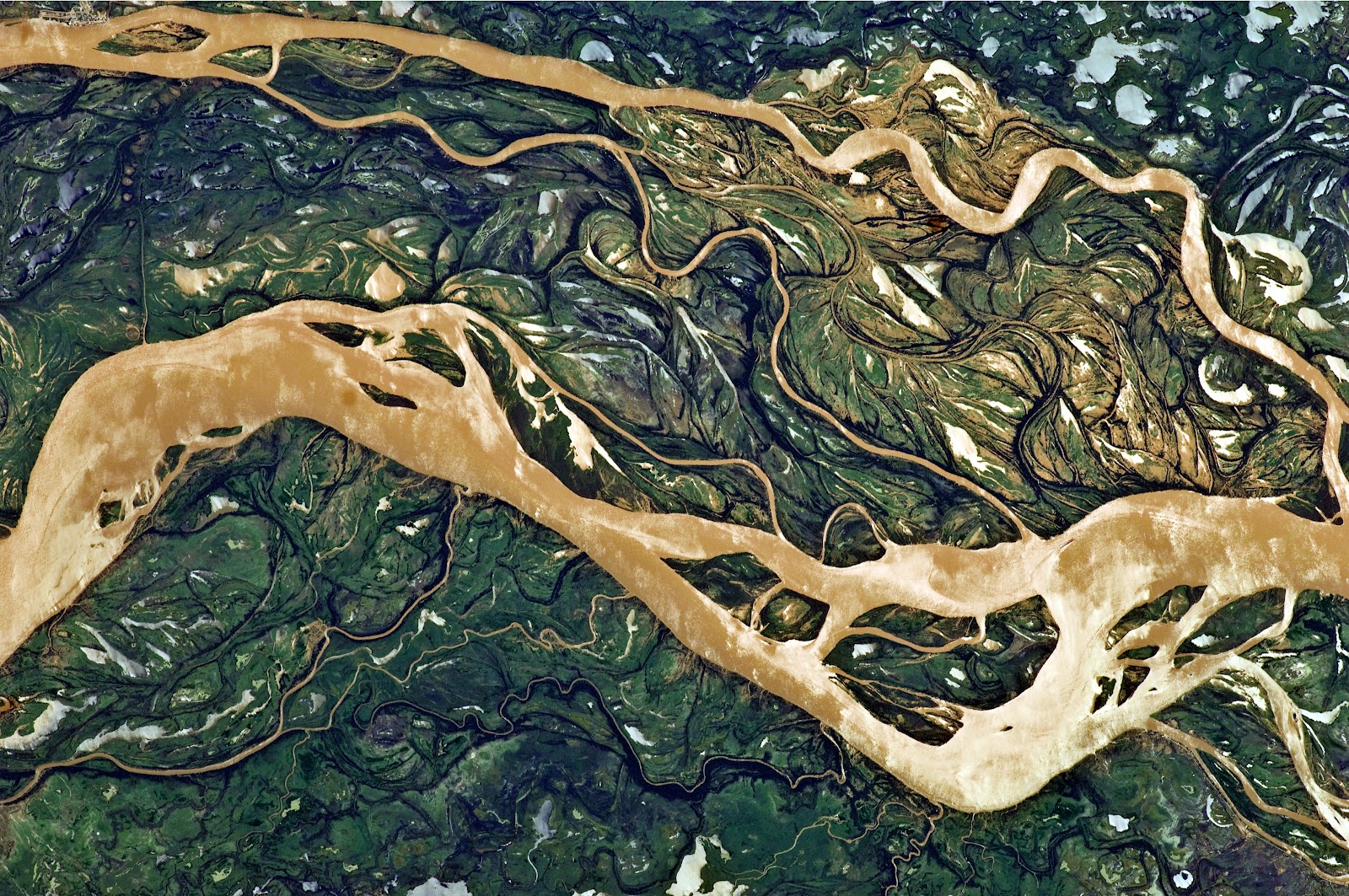 Parana River Delta