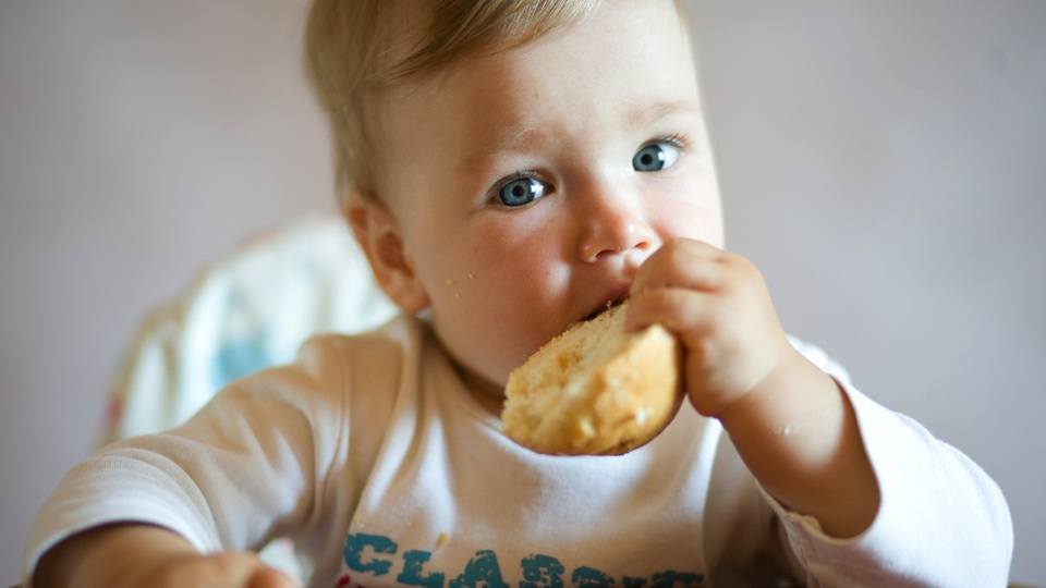 15 Healthy And Delicious Toddler Recipes Every Parent Needs to Know