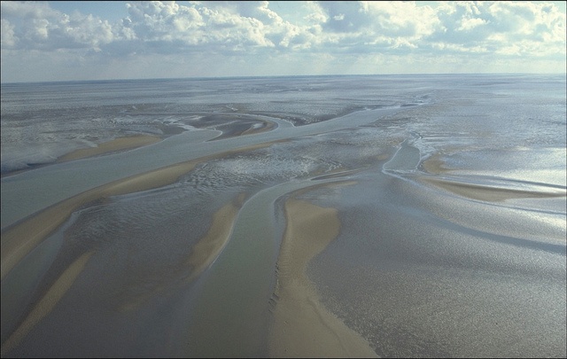 Wadden Sea