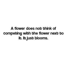 blooms