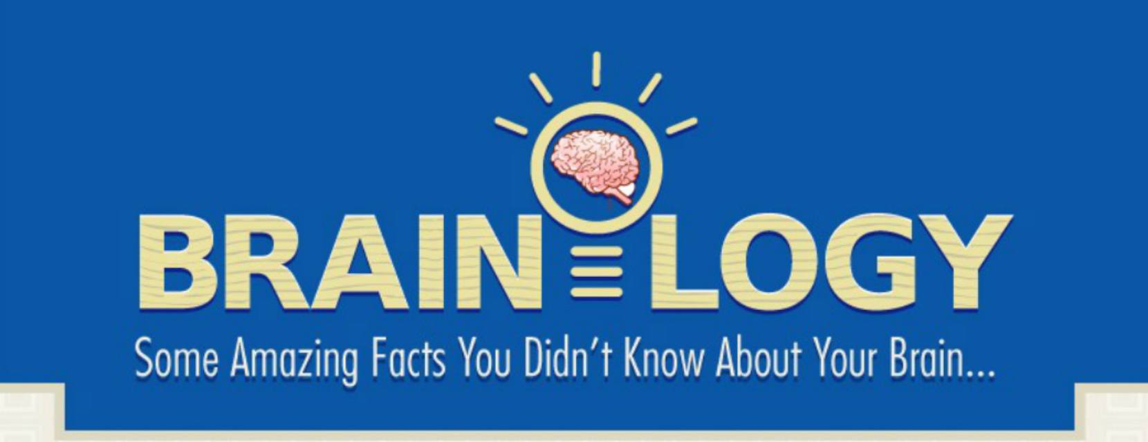 15 Things You Probably Didn’t Know About Your Brain