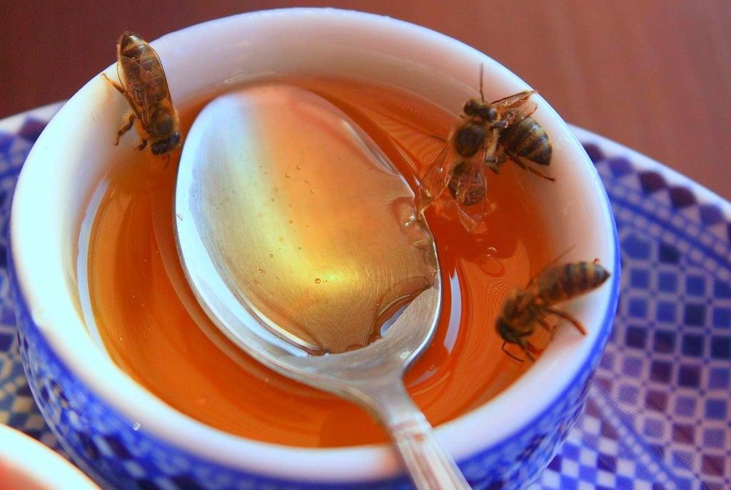 Honey: The Original All-Natural Remedy