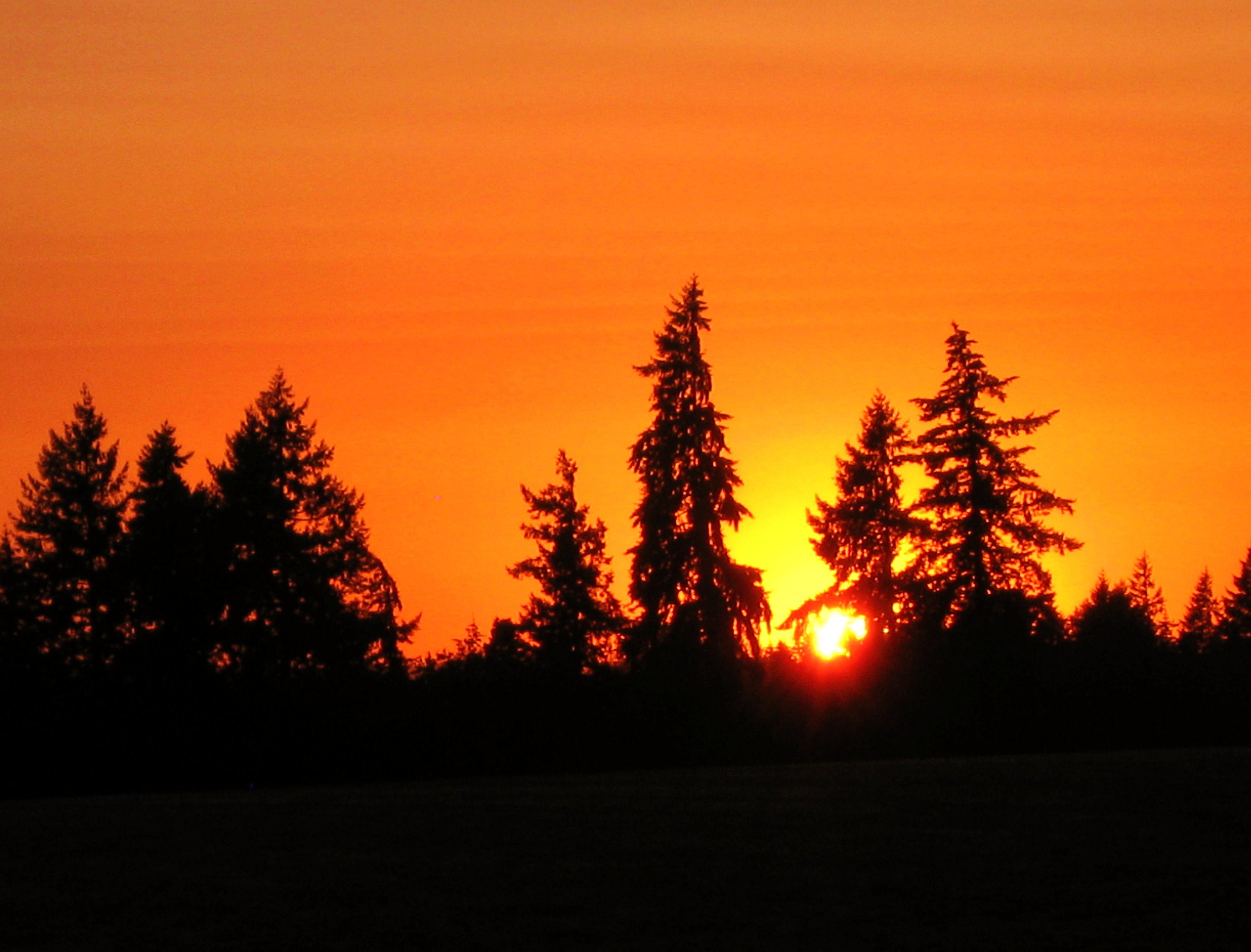 Oregon sunset-b