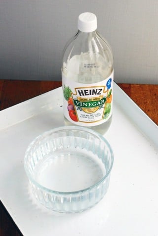 Vinegar Cleans Dishwasher
