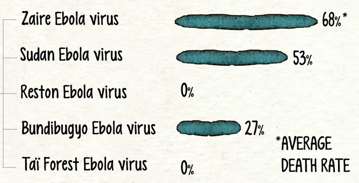 Here’s Everything You Need To Know About The Ebola Scare