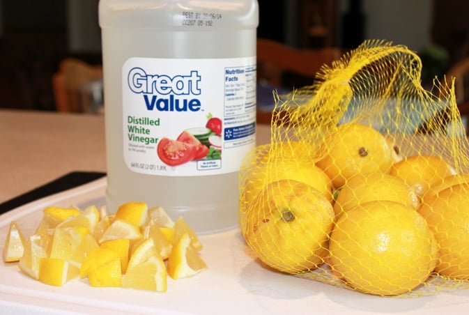 lemon-disposal-clean1