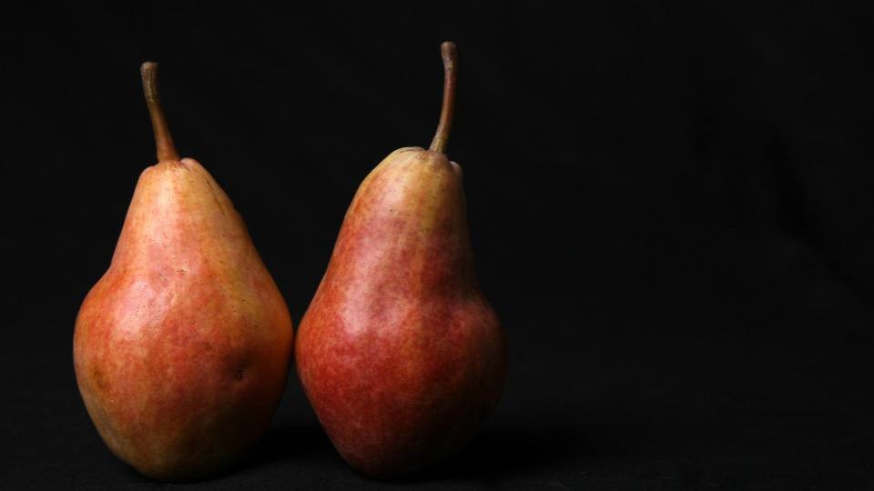 Pair of Pears