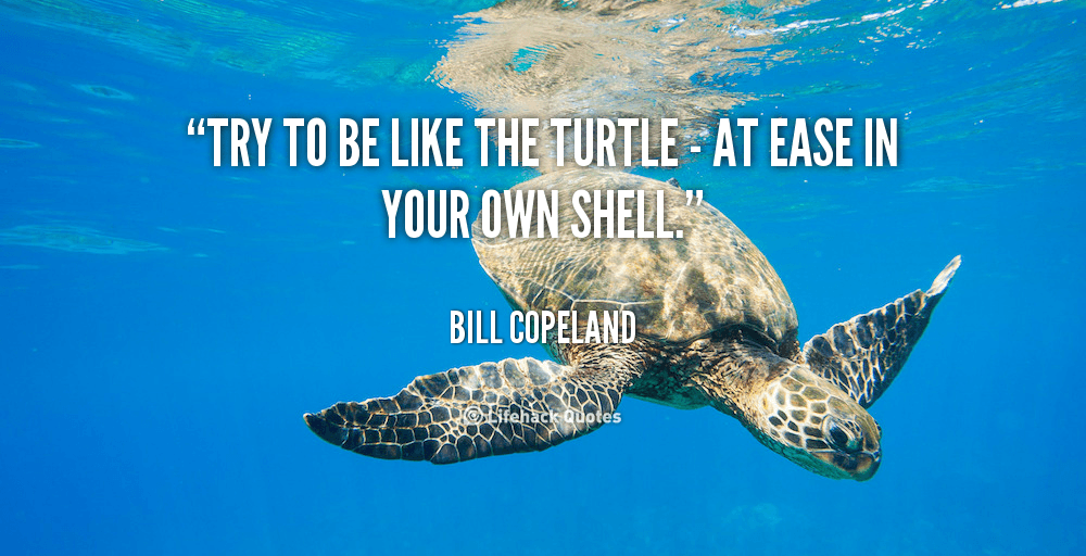 Try to be like the turtle – at ease in your own shell. – Bill Copeland