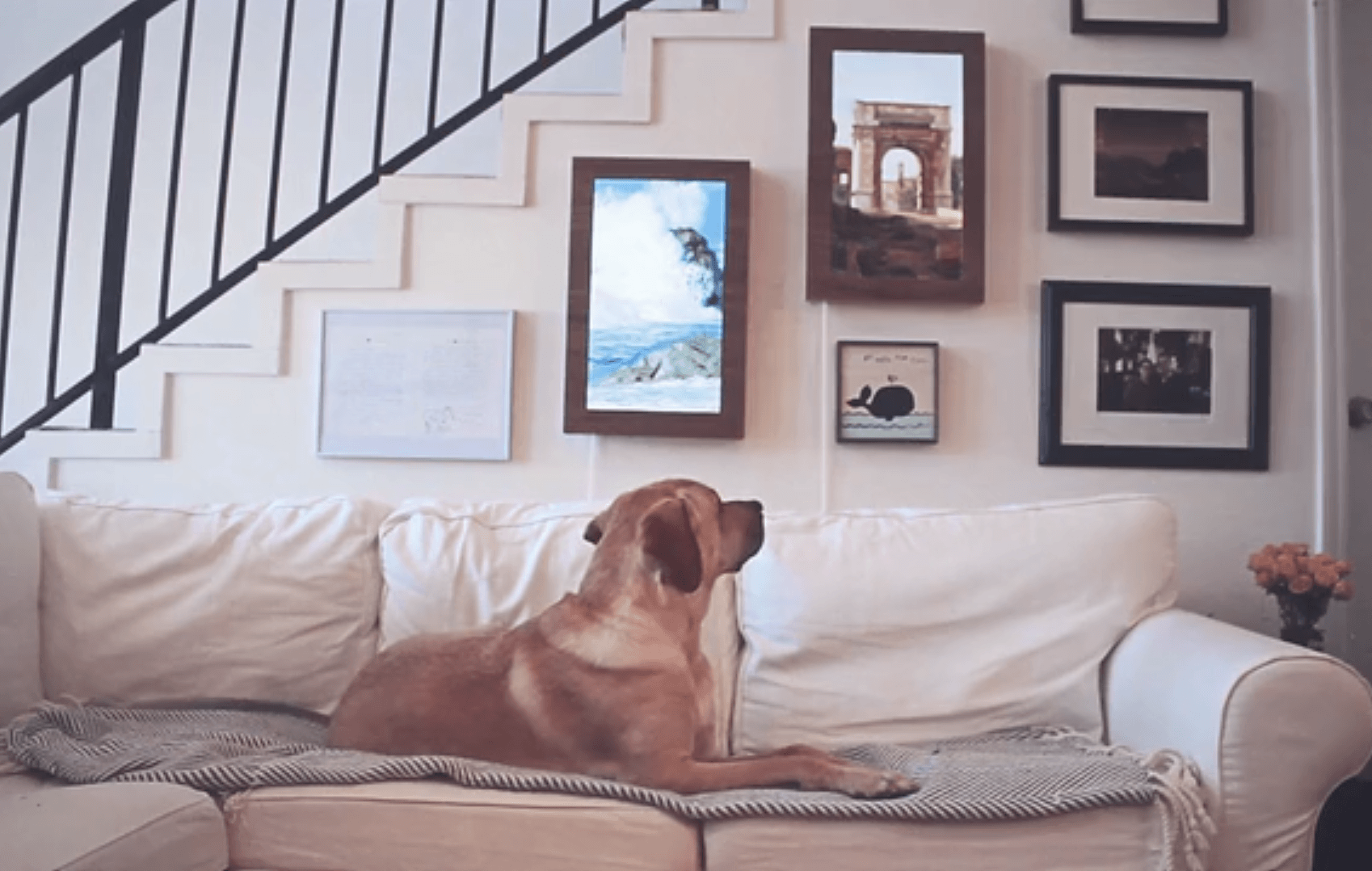 4 Words That Will Make You Want This Gadget: GIF On Your Wall