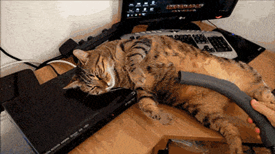 cat-gif-vacuumed