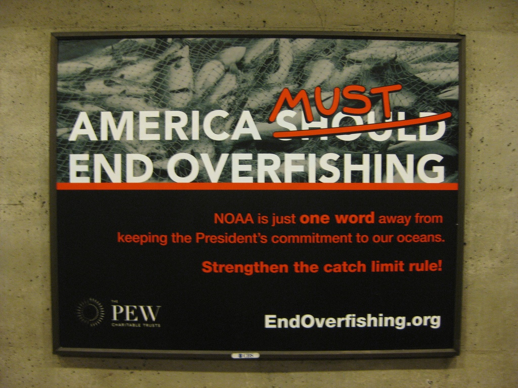 overfishing2