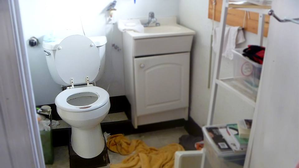 11 Eco-Friendly DIY Methods for Cleaning your Toilet