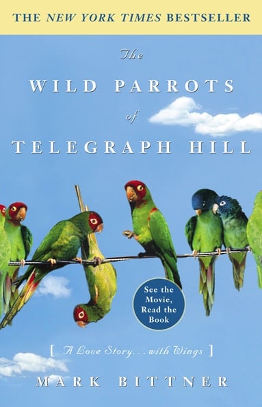 wild parrots