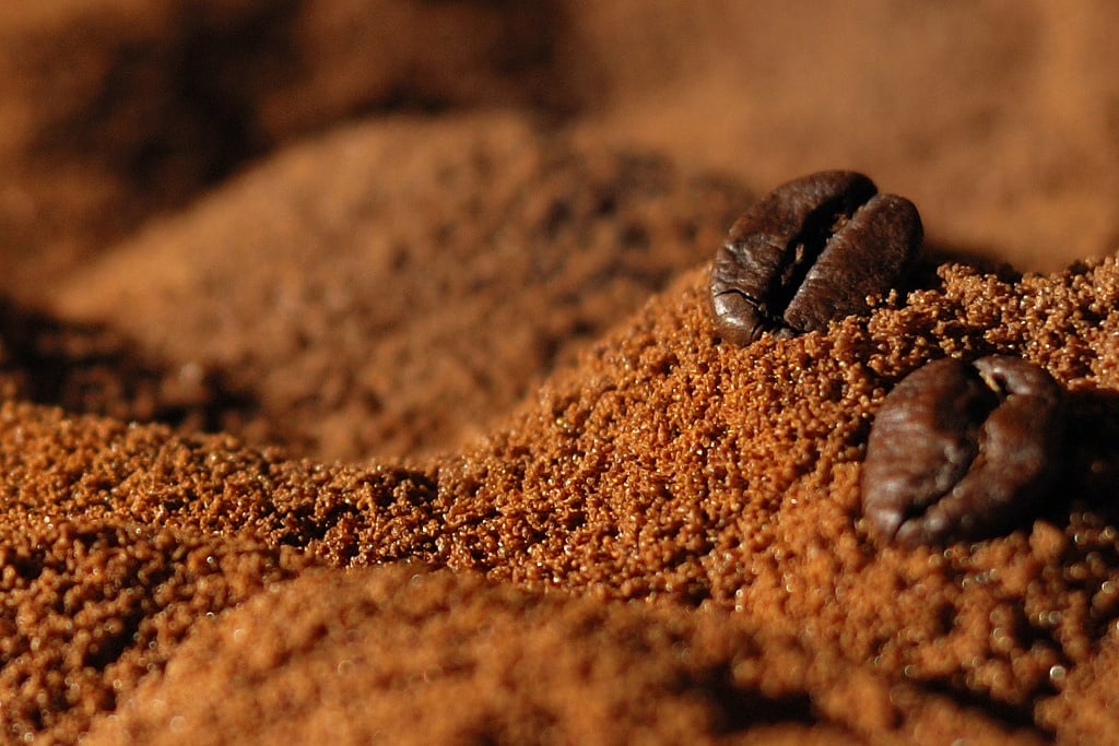 10 Amazing Ways to Use Coffee Grounds You Didn’t Know About