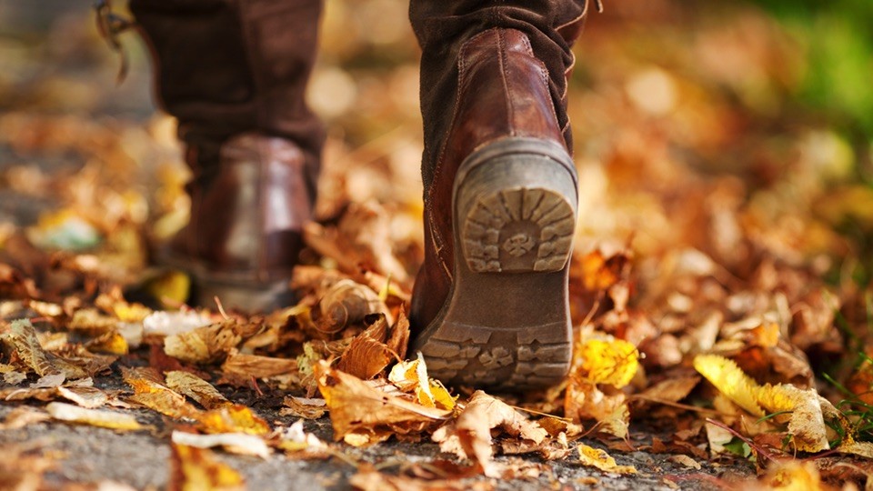 30 Things You Should Definitely Do This Fall
