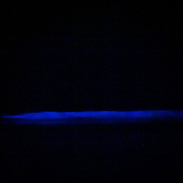 bioluminiscentwaves