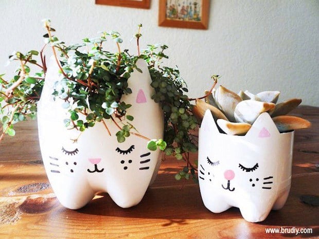 brudiy_plastic_bottle_cat_planter_02