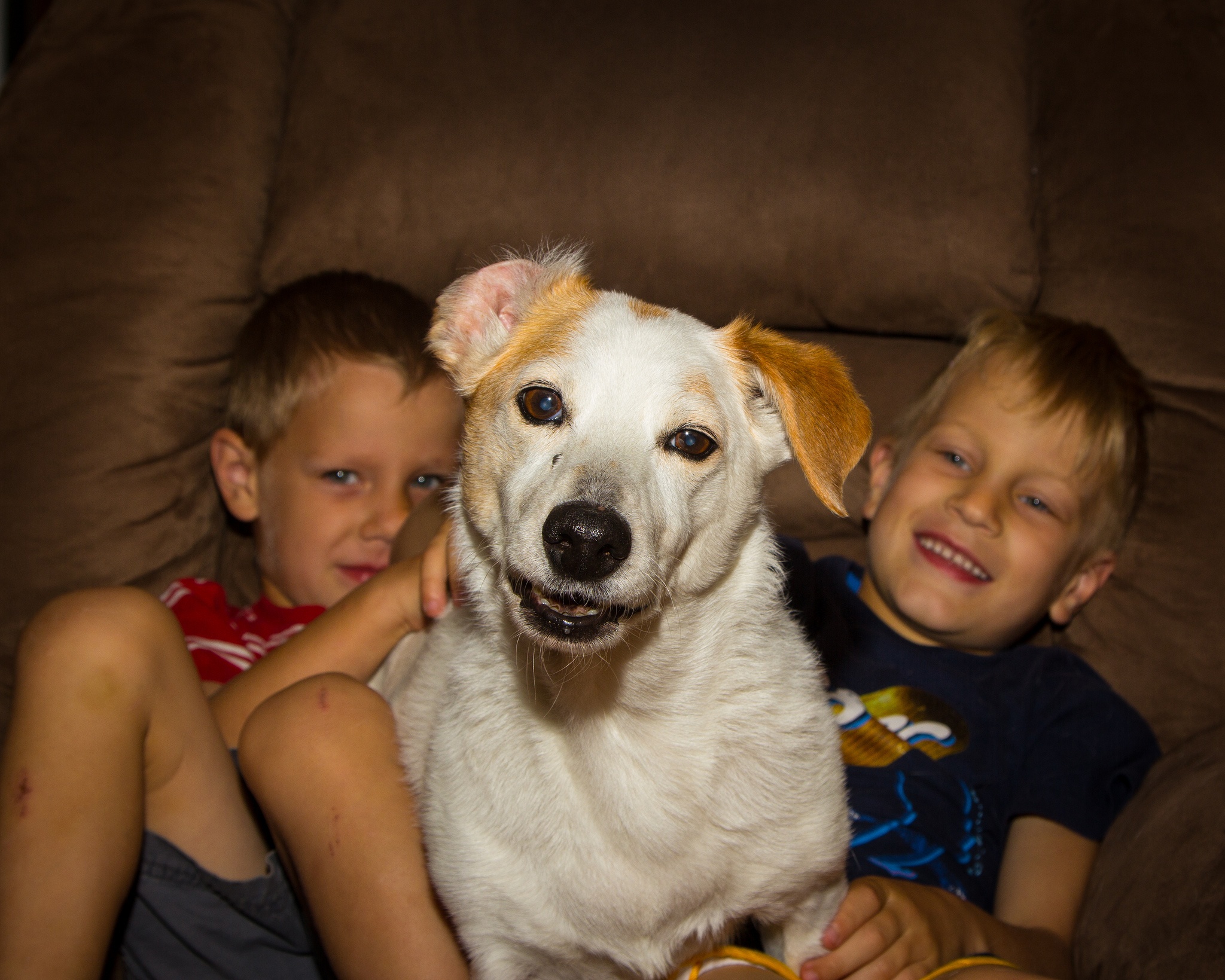 11 Things You Should Beware Of When Kids And Dogs Are Living Together
