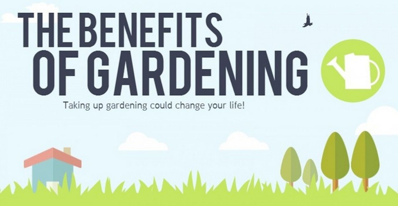 Gardening Is The Hobby Of The Future. Here’s Why