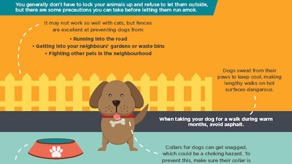 A Guide To Pet-proofing Your Home