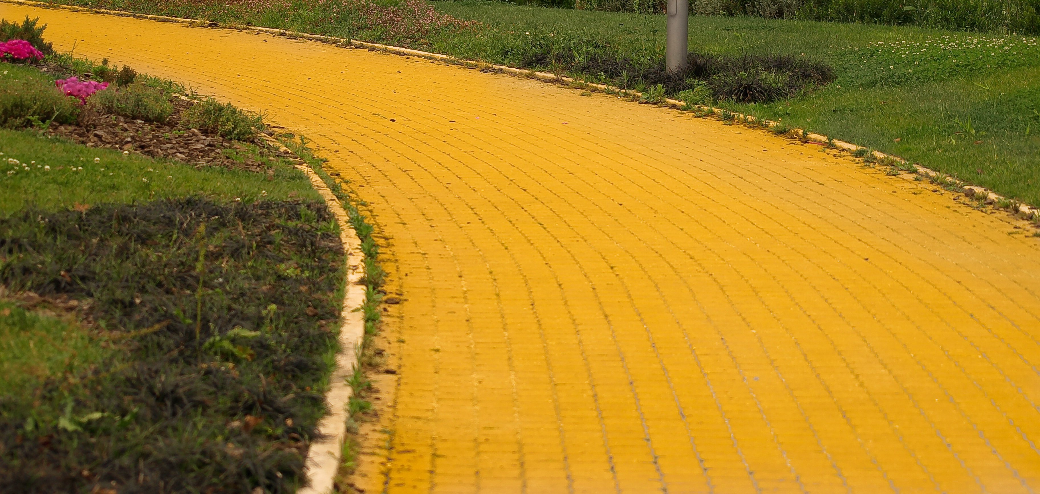 How a Yellow Brick Road Can Help You Achieve Your Goals