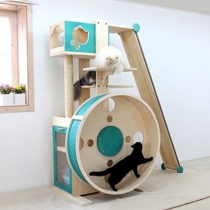 Cat Tower and Gym Wheel