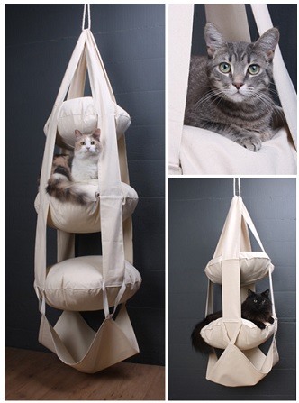 Cats Trapeze