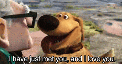 Dug-Just-Met-You-But-He-Loves-You-Gif-In-Pixars-Up