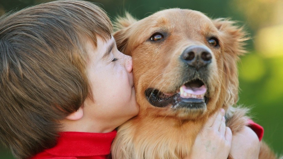 Amazing Things That Happen When Kids And Dogs Are BFF
