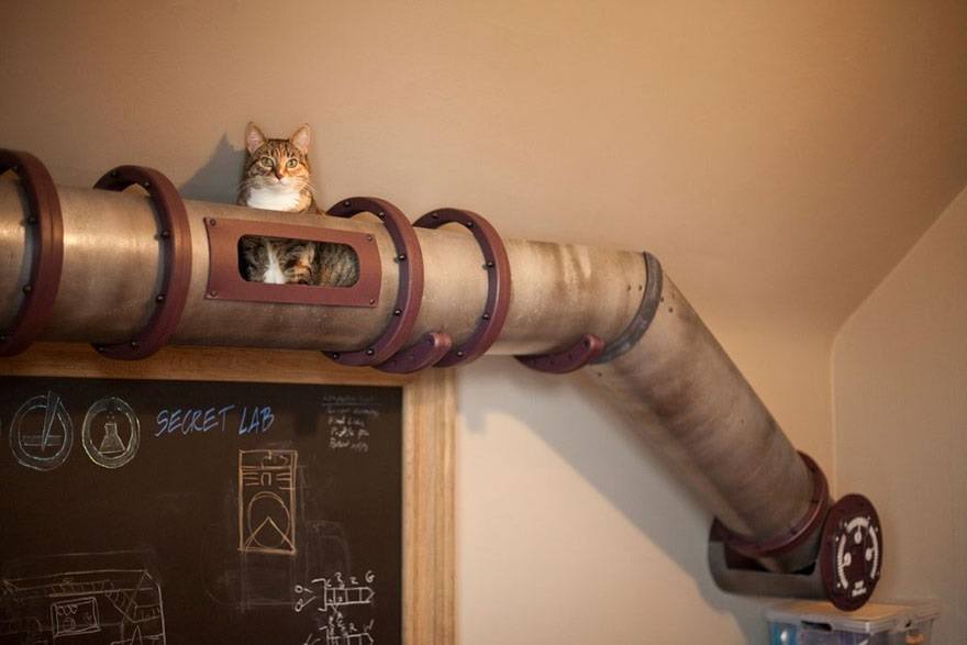 The Cat Pipeline