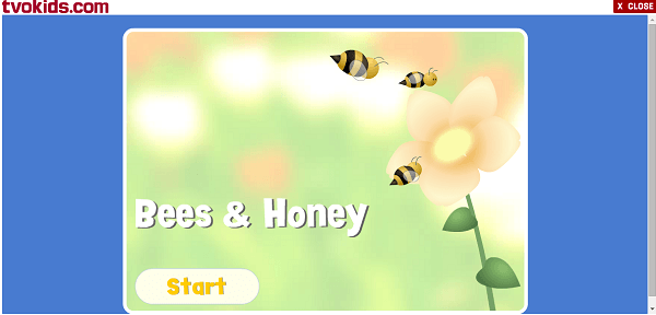 bees and honey