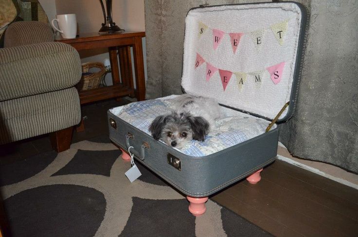 suitcase dog bed