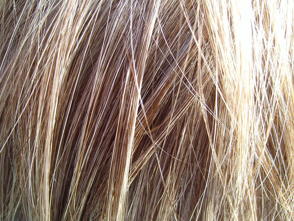 1024px-Blonde_hair_detailed