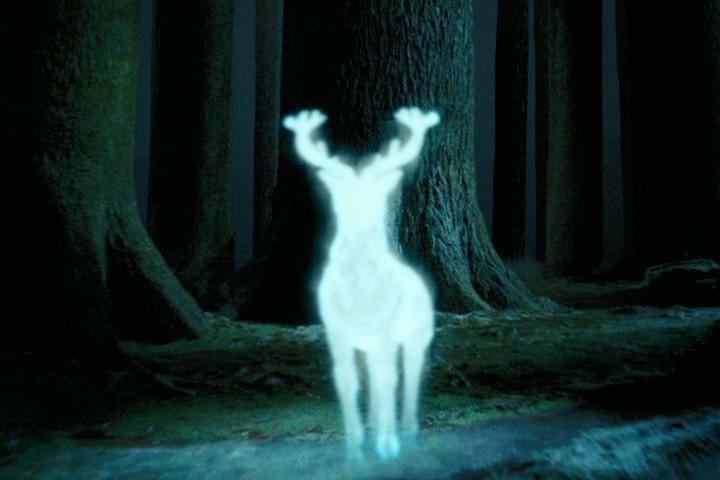 A-Guide-to-Weird-and-Rare-Harry-Potter-Patronuses