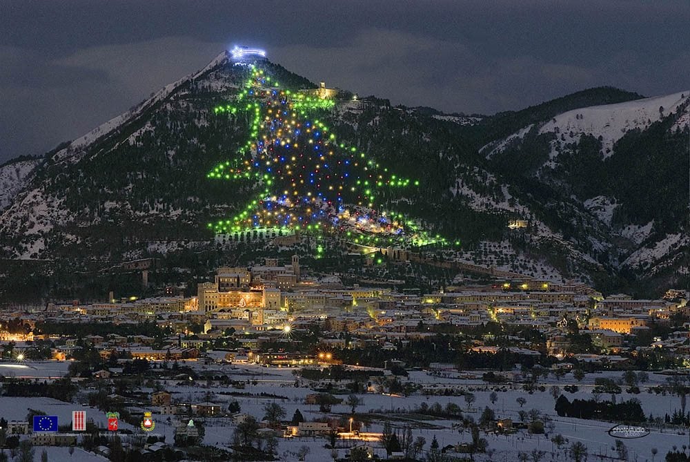 18 Most Beautiful Christmas Trees Around The World