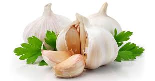garlic, vegetable