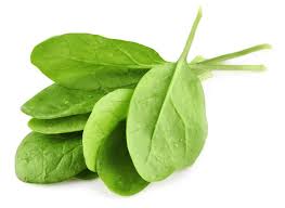 spinach, vegetables