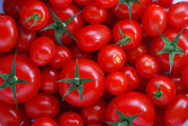tomato, tomatoes, red, 