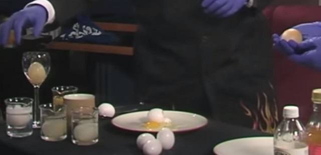 science experiments with eggs